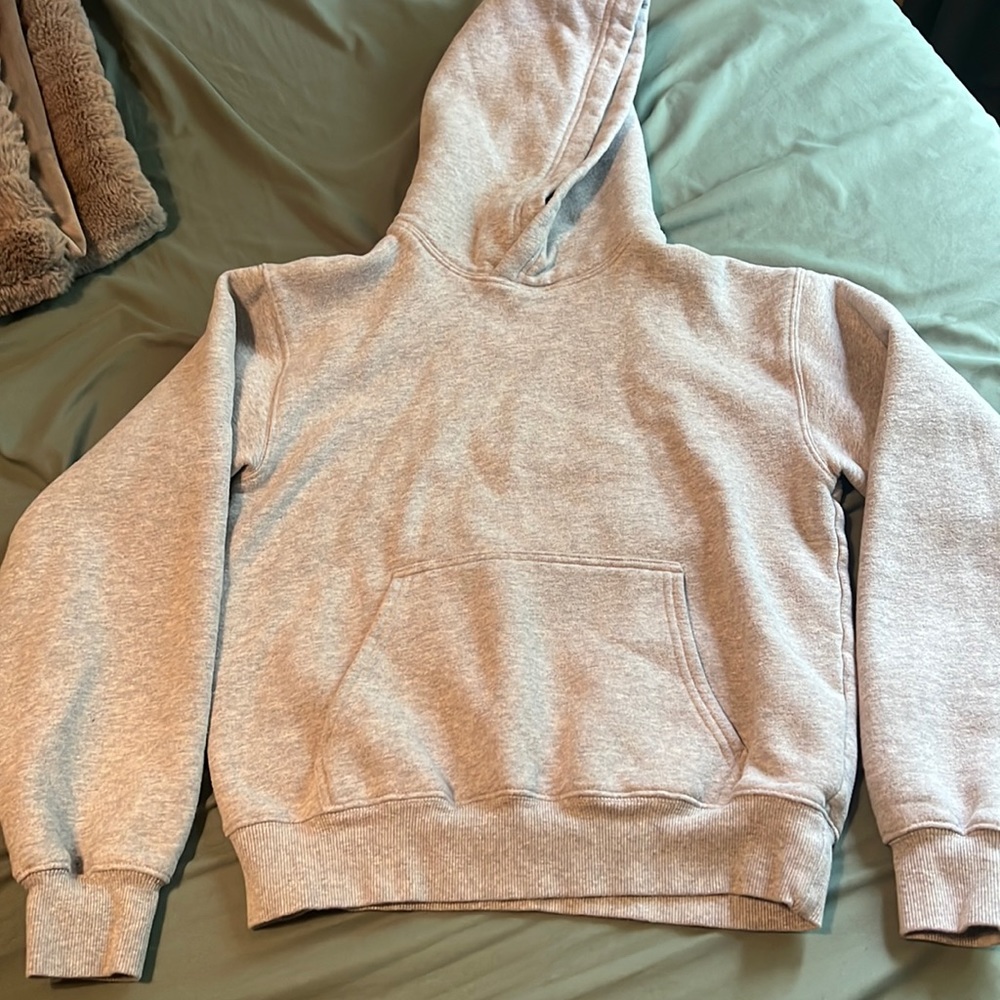 Aritzia TNA cozy fleece hoodie